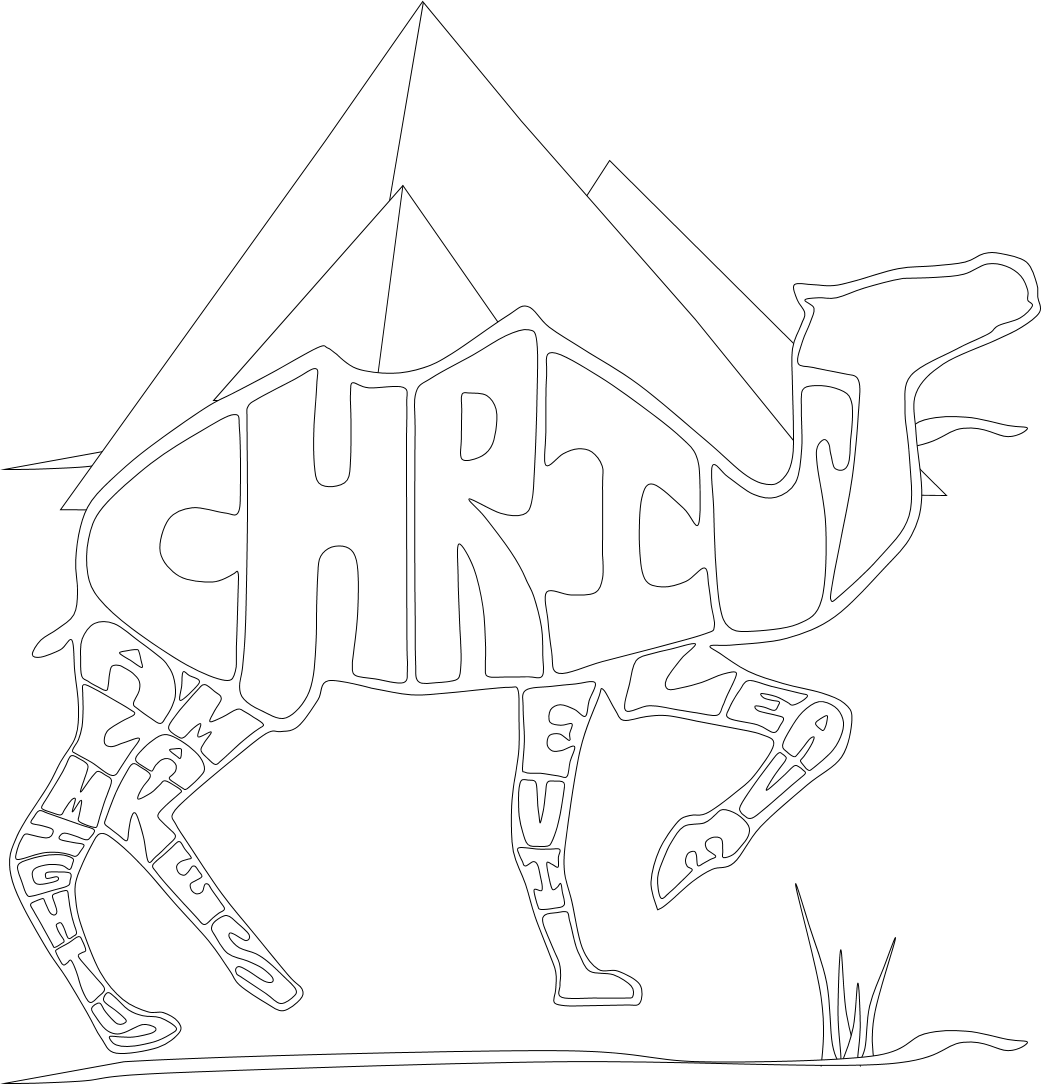 CODED CRITTERS COLOR/ACTIVITY BOOK #1