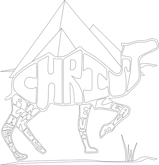 CODED CRITTERS COLOR/ACTIVITY BOOK #1