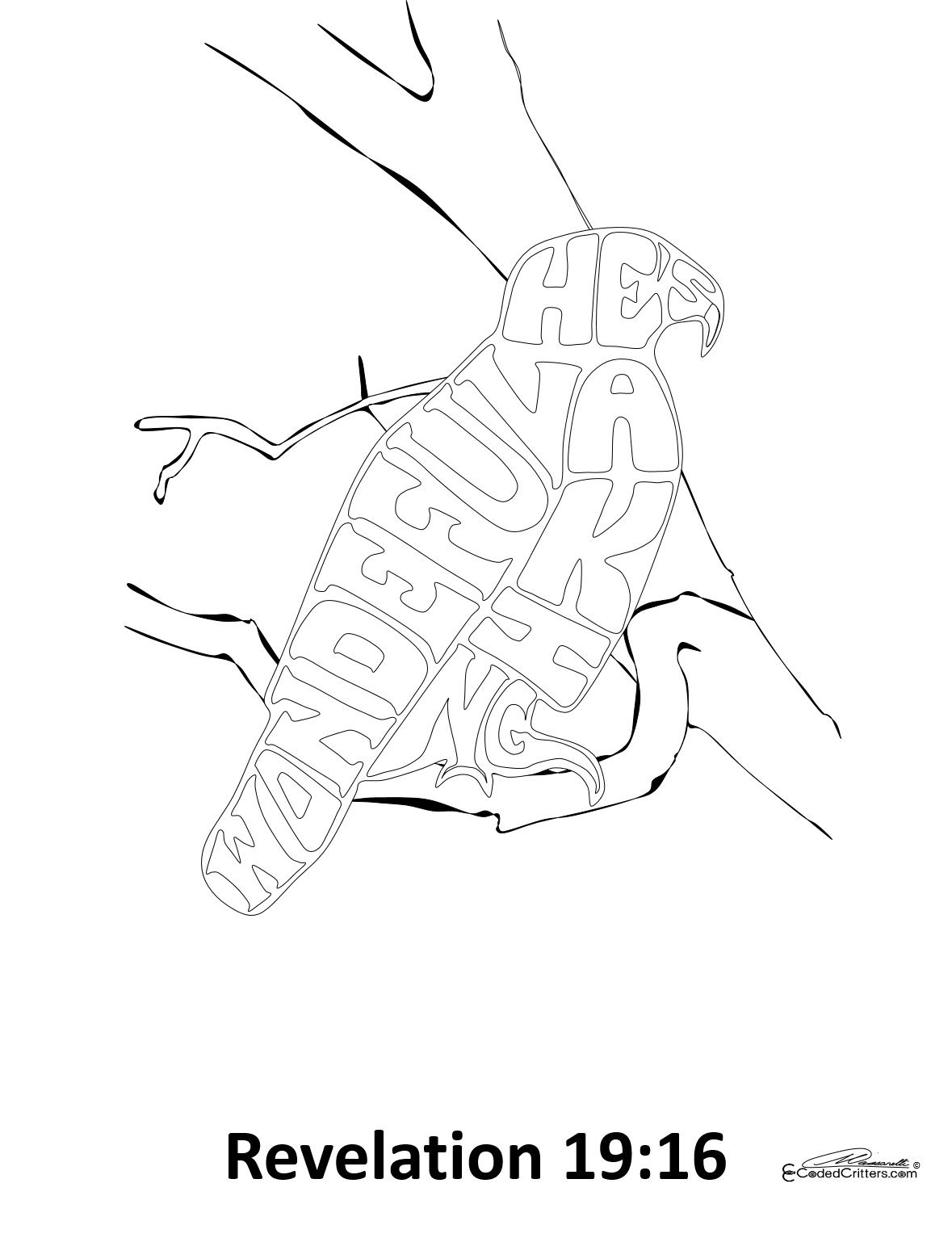 CODED CRITTERS COLORING BOOK (All 60 Critters)